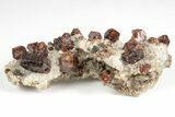 Hessonite Garnets in Calcite - Harts Ranges, Australia #130667-1